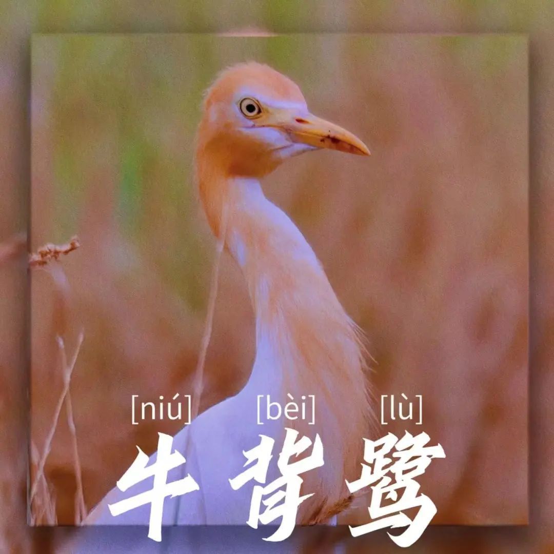 19E71
